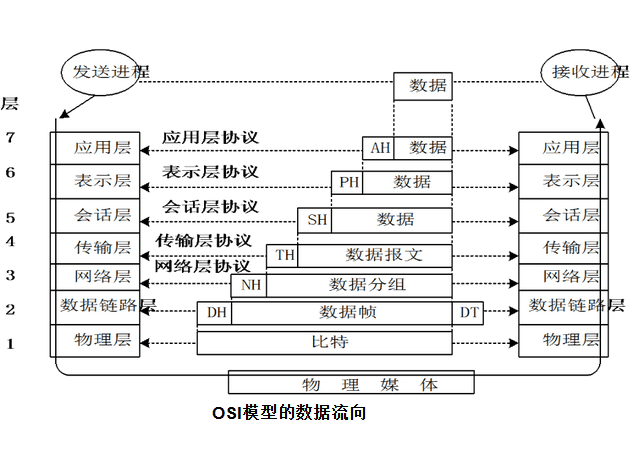 OSI 模型的数据流向